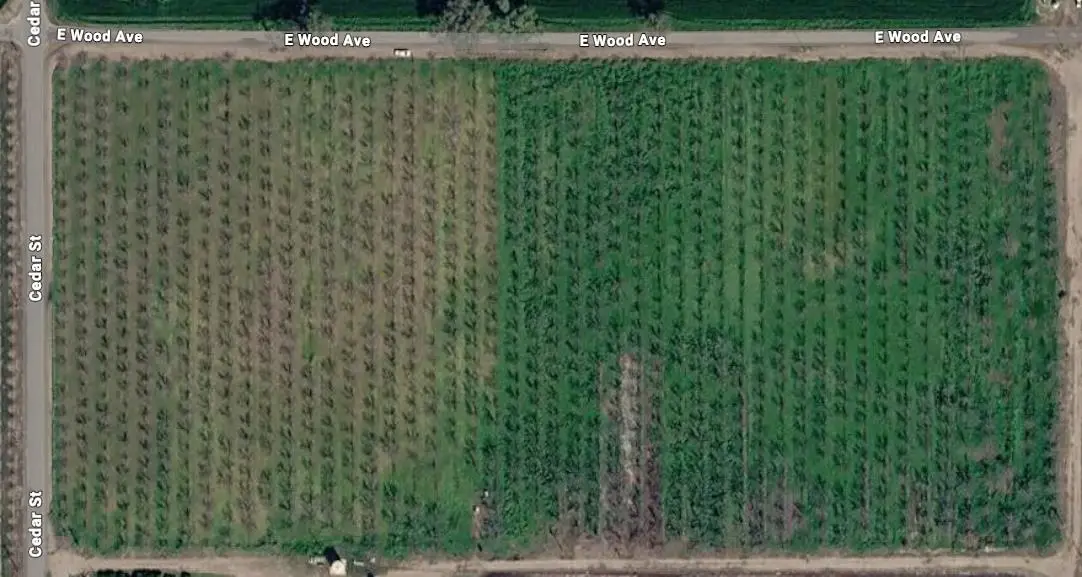 21600 Cedar Avenue, Laton, CA 93242 - #1