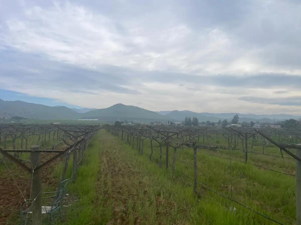 0 E Olive Avenue E, Porterville, CA 93257 - #1