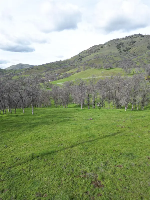 173 Rodeo Drive, Sanger, CA 93657