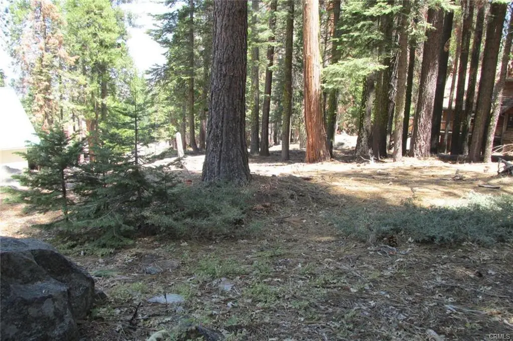 7497 Henness Circle, Yosemite West, CA 95389 - #1