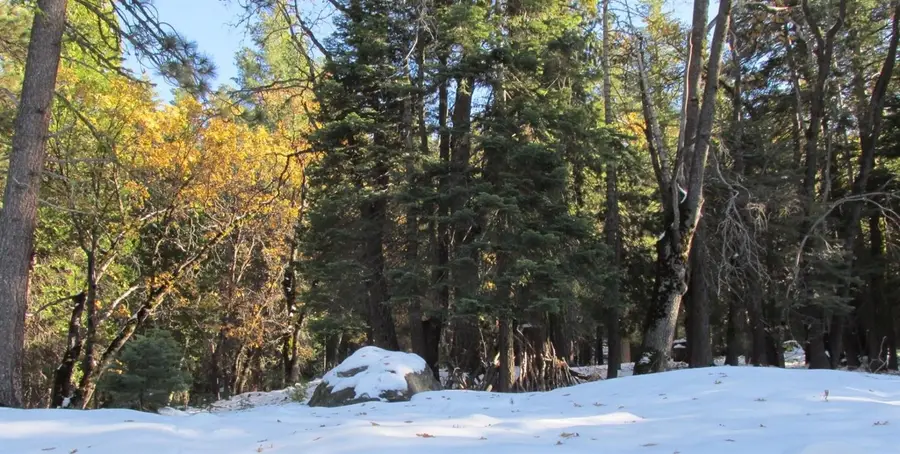 7497 Henness Circle, Yosemite West, CA 95389 - #3