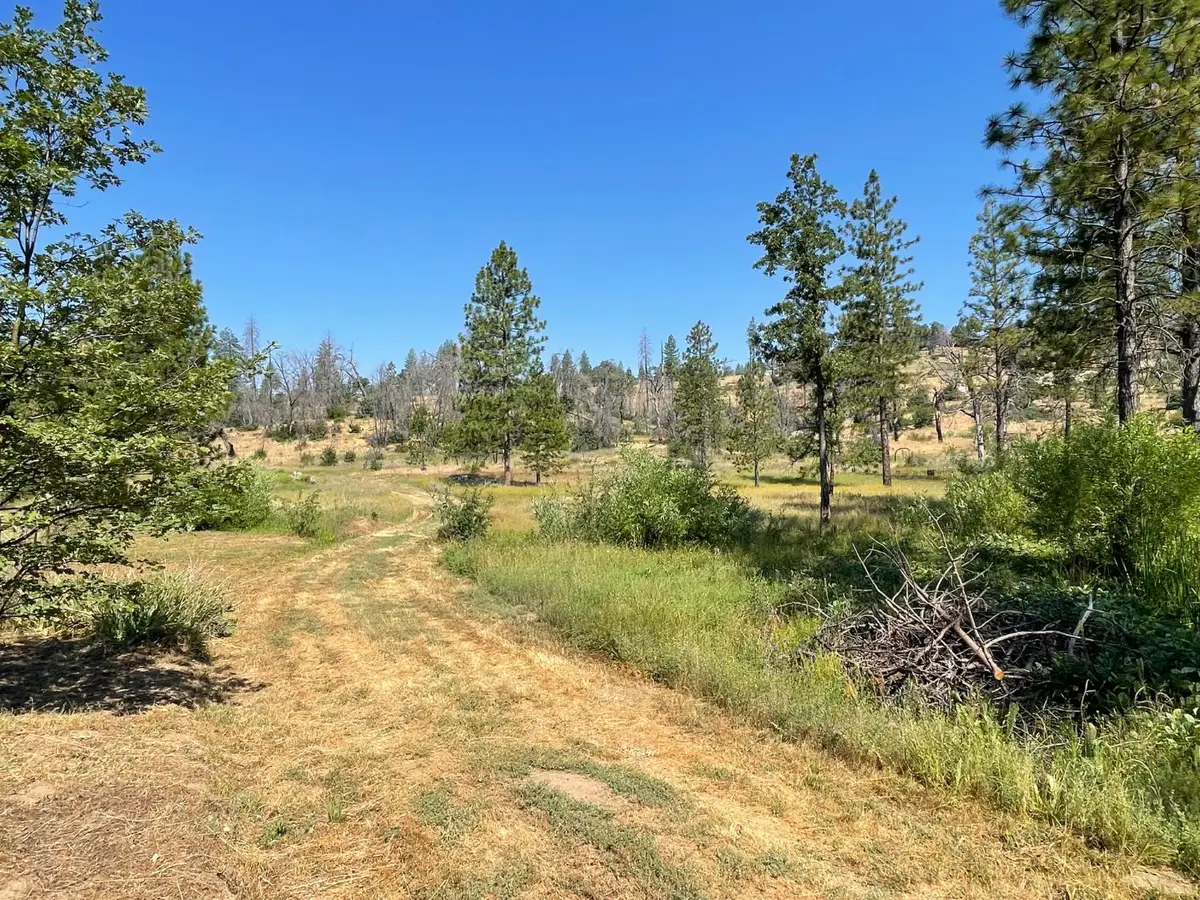 34344 Shaver Springs Road, Auberry, CA 93602 - #1