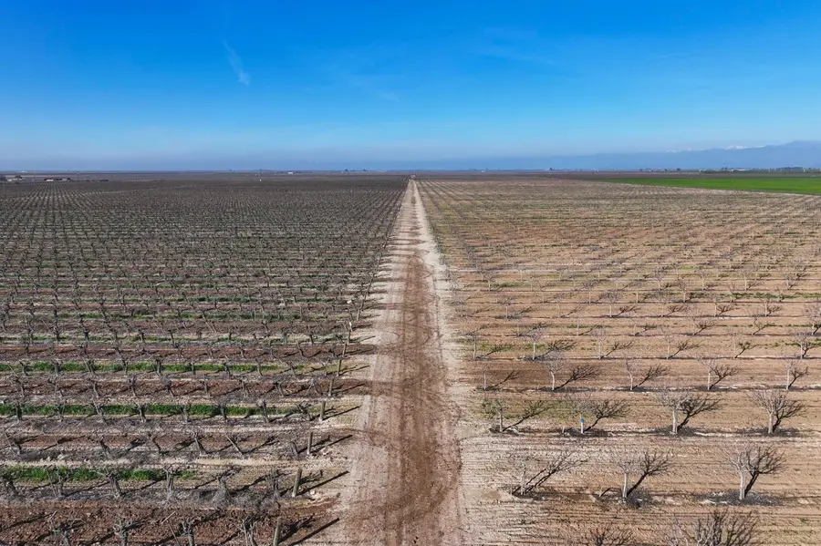 8000 Road 208, Terra Bella, CA 93270 - #2