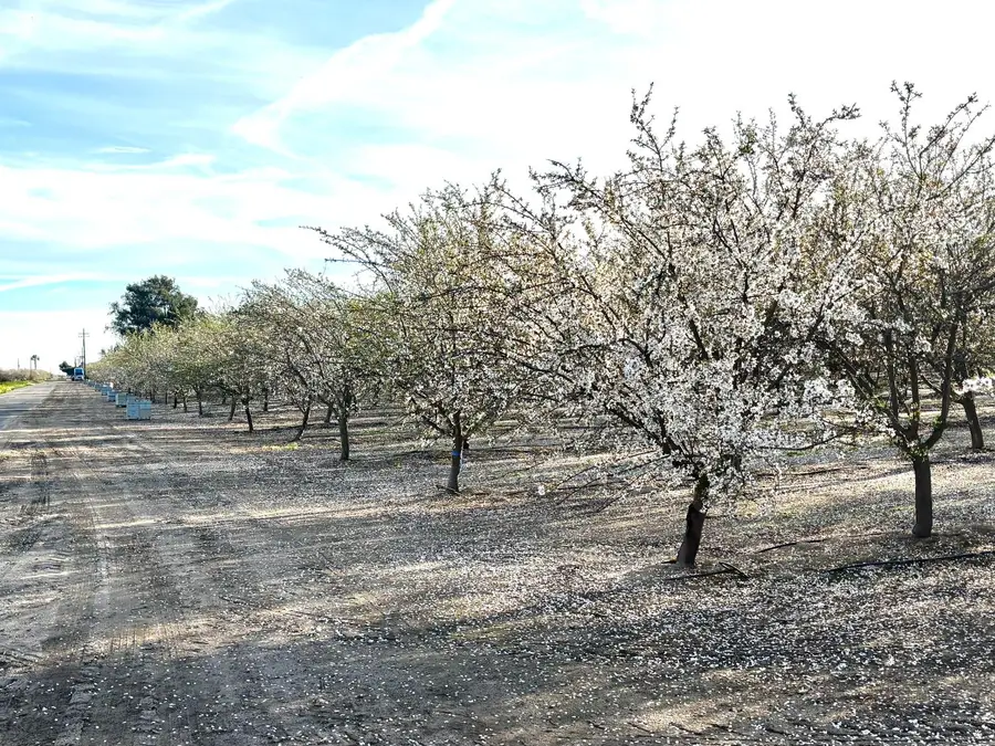 16722 Rd 18, Madera, CA 93637 - #3