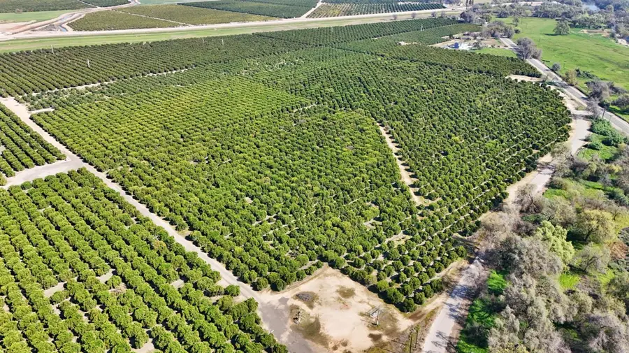 19188 E Trimmer Springs Road, Sanger, CA 93657 - #3