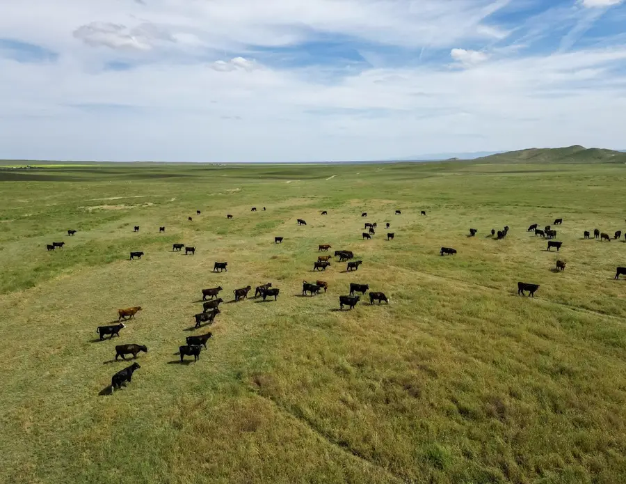 0 Kecks Road, Lost Hills, CA 93249 - #2