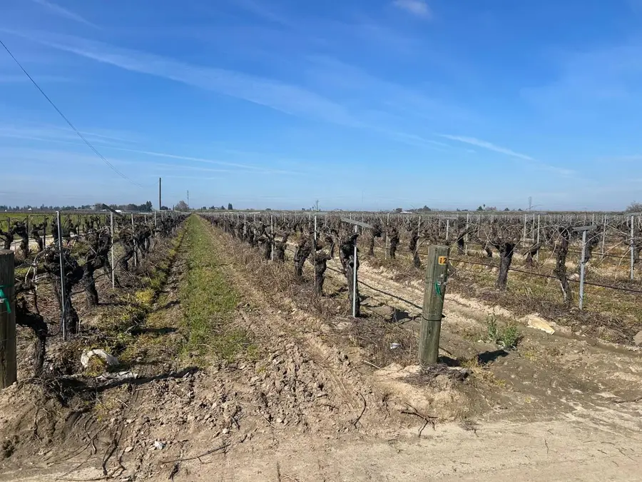 9577 S Del Rey Avenue, Selma, CA 93662 - #3