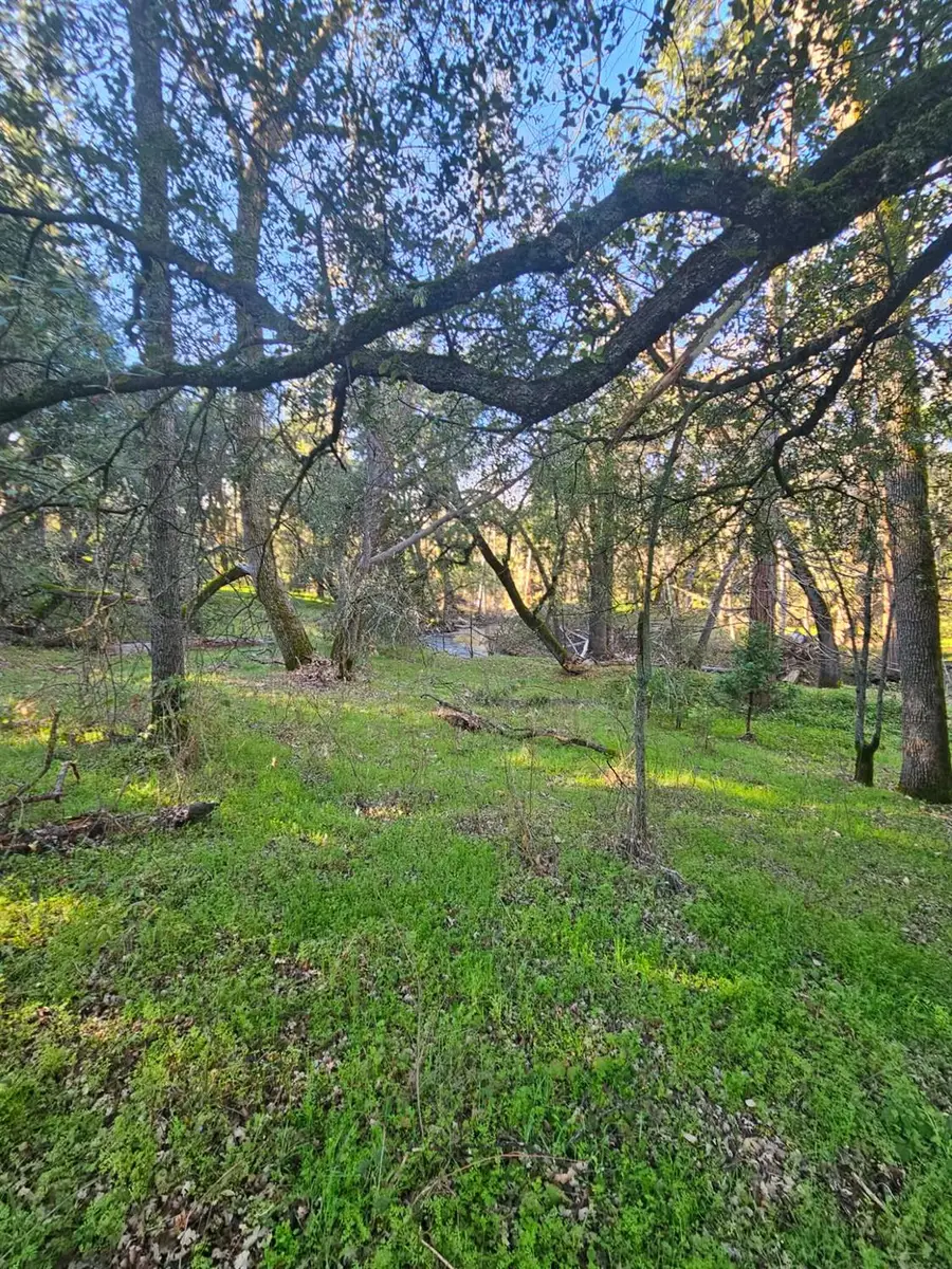 8 Road 225, North Fork, CA 93643 - #2