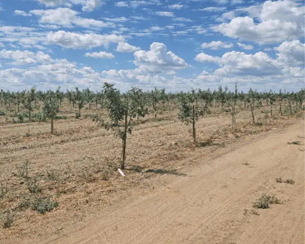 Address Withheld By Seller, Lemoore, CA 93245