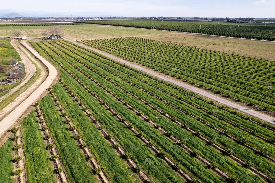 2334 S Temperance Avenue, Fresno, CA 93725 - #3