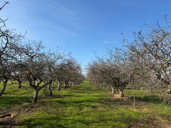 1 Rd 28 1/2, Madera, CA 93638