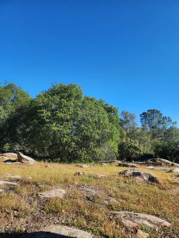 0 Rocky Ridge Road, Coarsegold, CA 93614