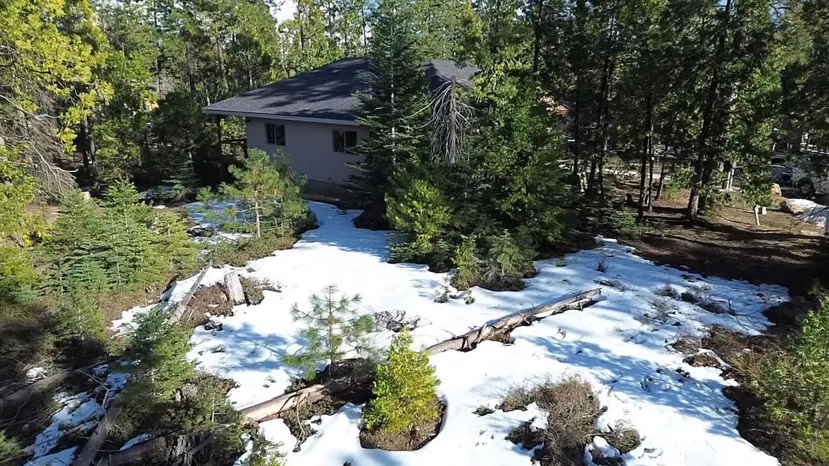 40672 Leopard Lilly Lane, Shaver Lake, CA 93664 - #1