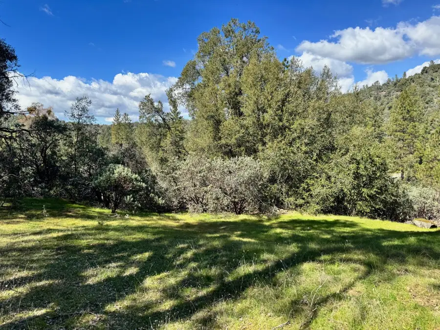 4994 Whitmore Drive, Mariposa, CA 95338 - #2