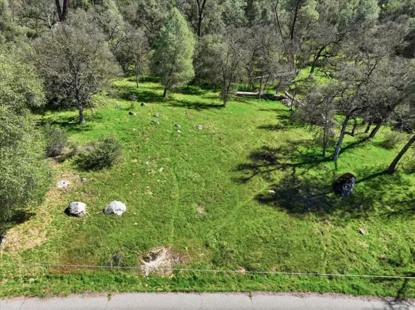 4260 Burl Drive, Mariposa, CA 95338