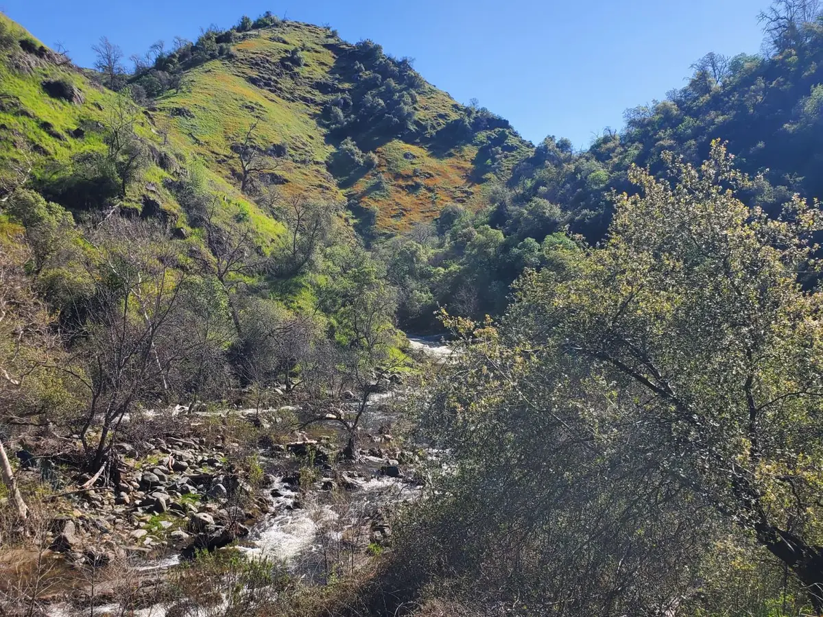 40 Trimmer Springs Rd, Lakeshore, CA 93657 - #1