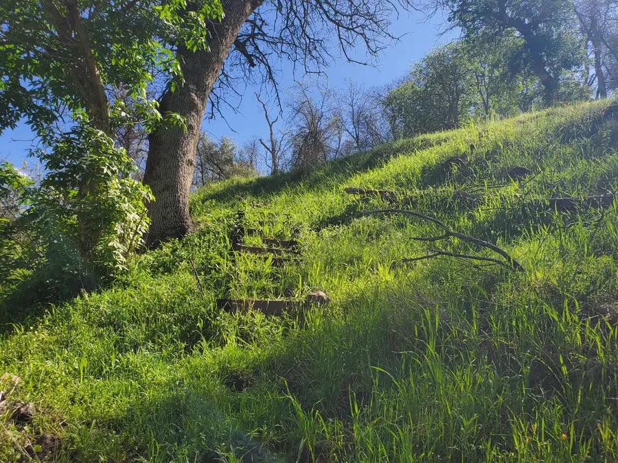 40 Trimmer Springs Rd, Lakeshore, CA 93657 - #3