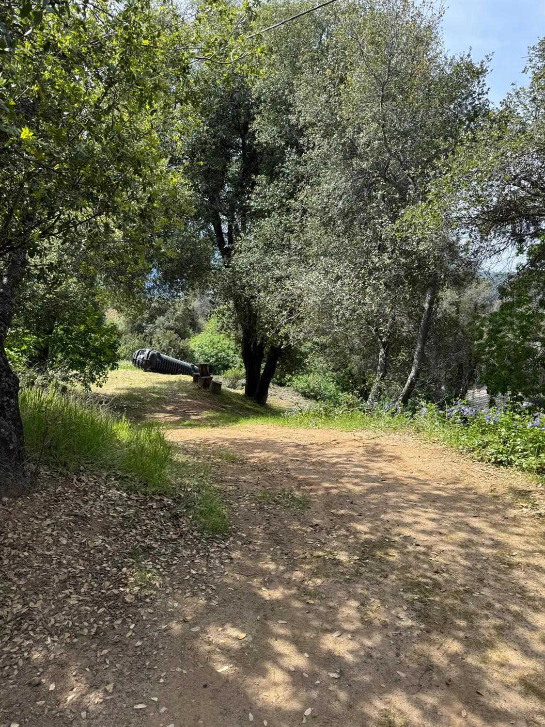 0 Shady Lane, Oakhurst, CA 93644 - #1