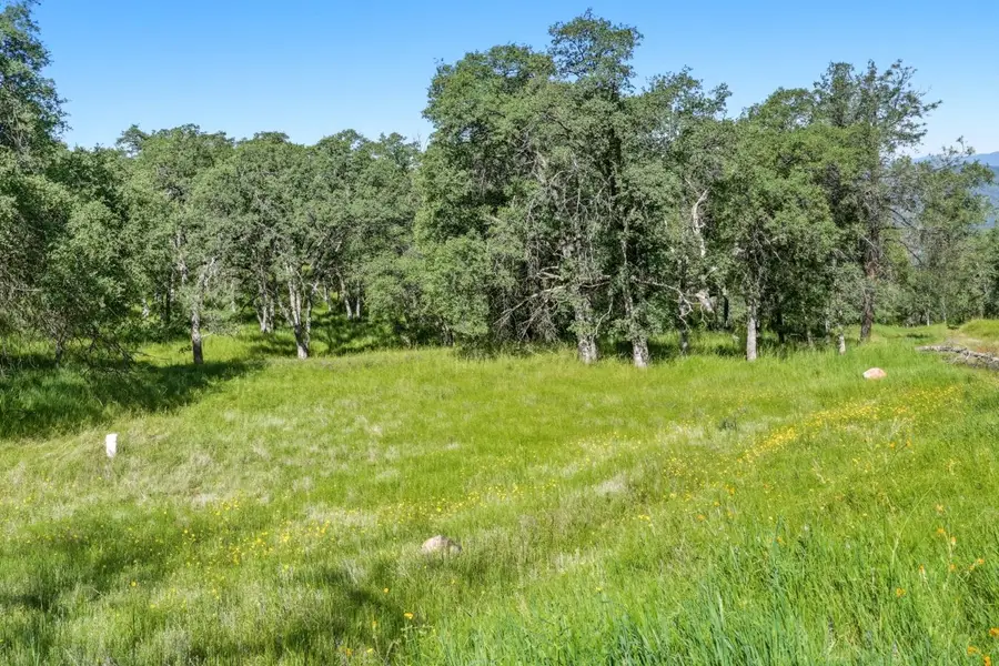 38 City View Drive, Coarsegold, CA 93614 - #2