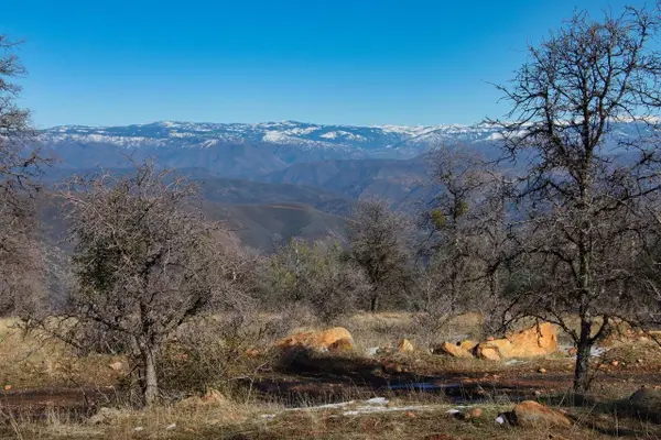 6894 State Highway 49 N, Mariposa, CA 95338
