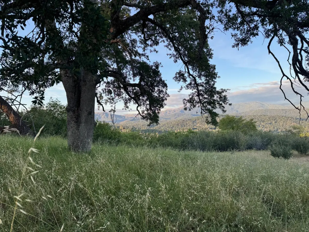 10 Old Oak Lane, Mariposa, CA 95338 - #1