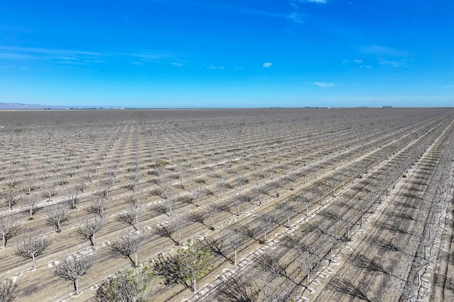 22889 S Colusa Avenue, Five Points, CA 93624 - #3