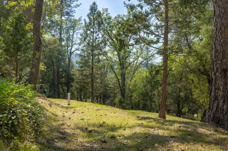 1 Oak Lane-apn 057-310-016 Lane, Oakhurst, CA 93644 - #2