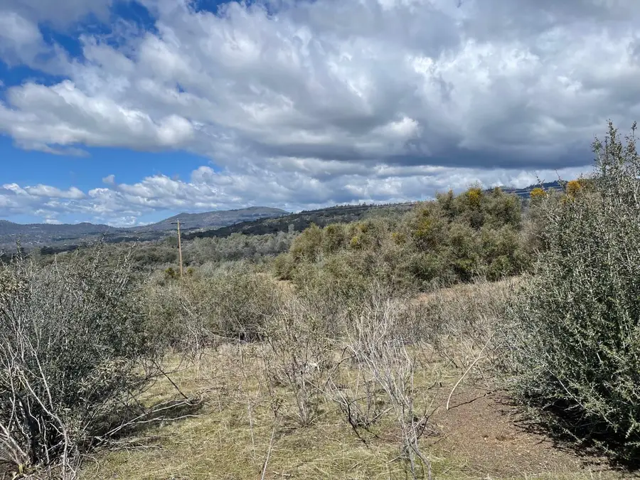 34 Miami Highlands, Oakhurst, CA 93644 - #2