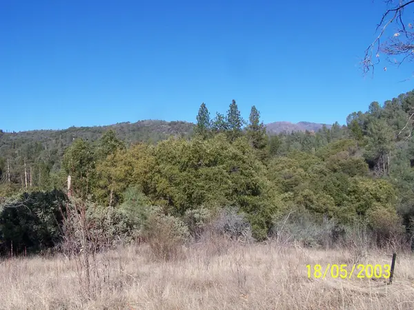 31 Hang Treen Ct, Oakhurst, CA 93644