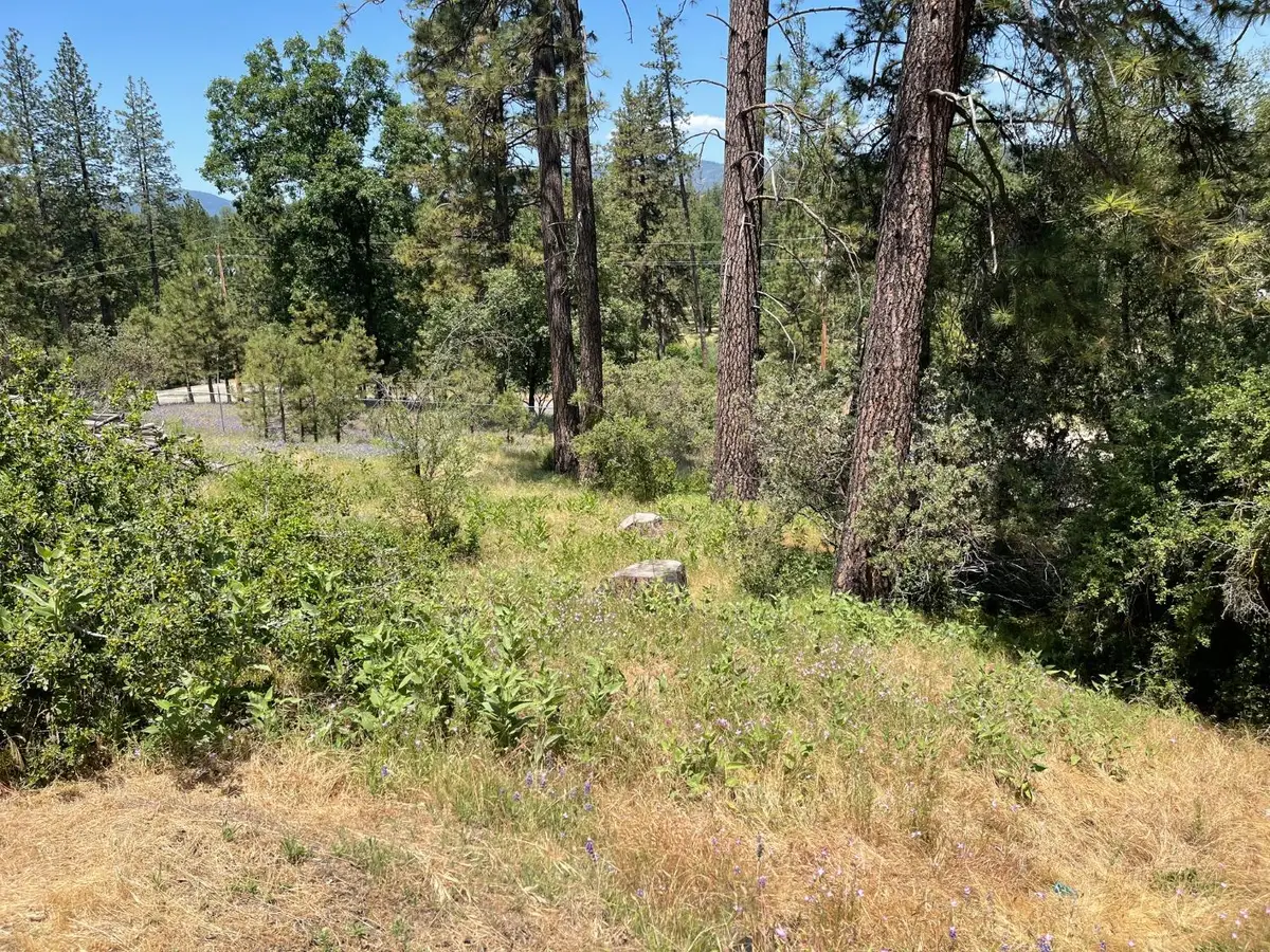 25 Victoria Place, Oakhurst, CA 93644 - #1