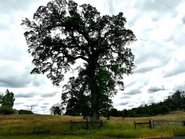 0 Savage, Coarsegold, CA 93614