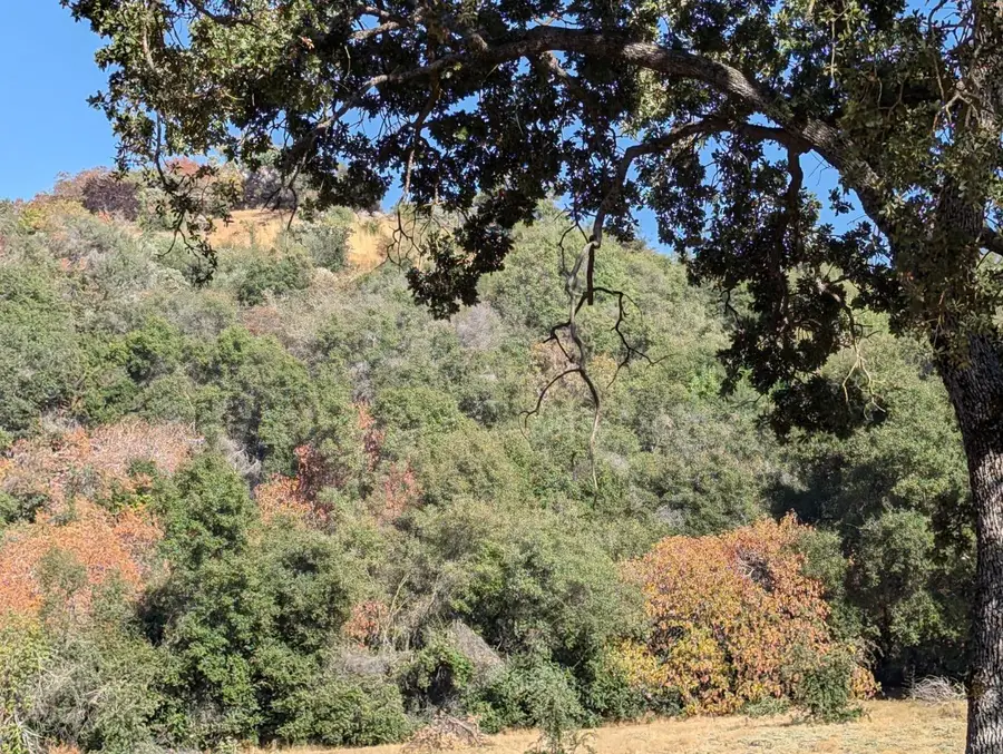 735 Bearclover Lane, Yokuts Valley, CA 93675 - #2