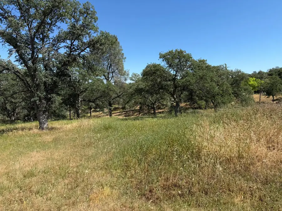 16 Horseshoe, Coarsegold, CA 93614 - #2