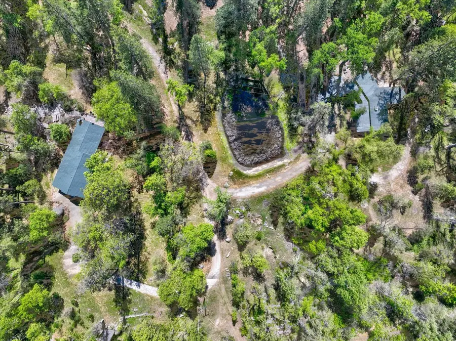 37733 Black Ranch Rd, Oakhurst, CA 93644 - #3