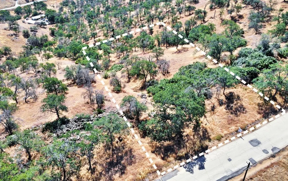 391 Sunflower Lane, Yokuts Valley, CA 93675 - #1