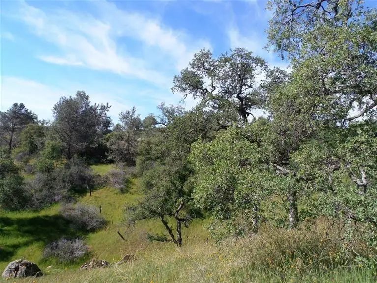 20148 Tollhouse Road, Clovis, CA 93619 - #3