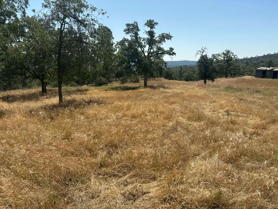 1379 Lilley Mountain Dr #1379, Coarsegold, CA 93614 - #2