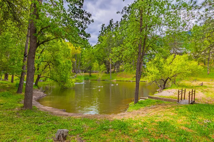 48441 Woodbend Court, Oakhurst, CA 93644 - #3