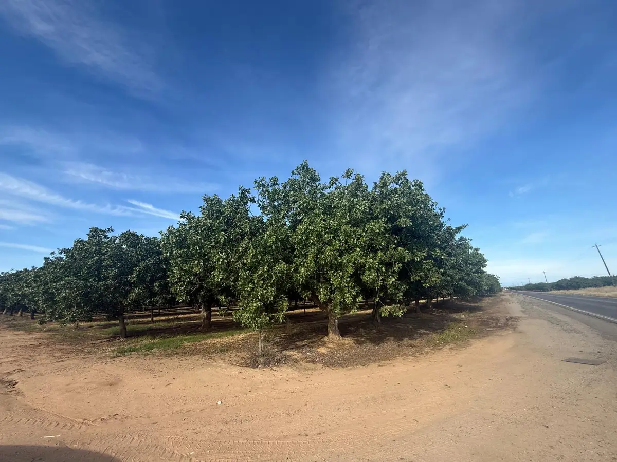 20349 Brightwood Road, Madera, CA 93638 - #1