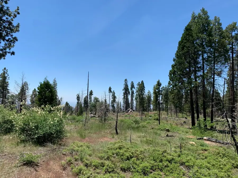 1 Shaver Lake, Shaver Lake, CA 93602 - #2