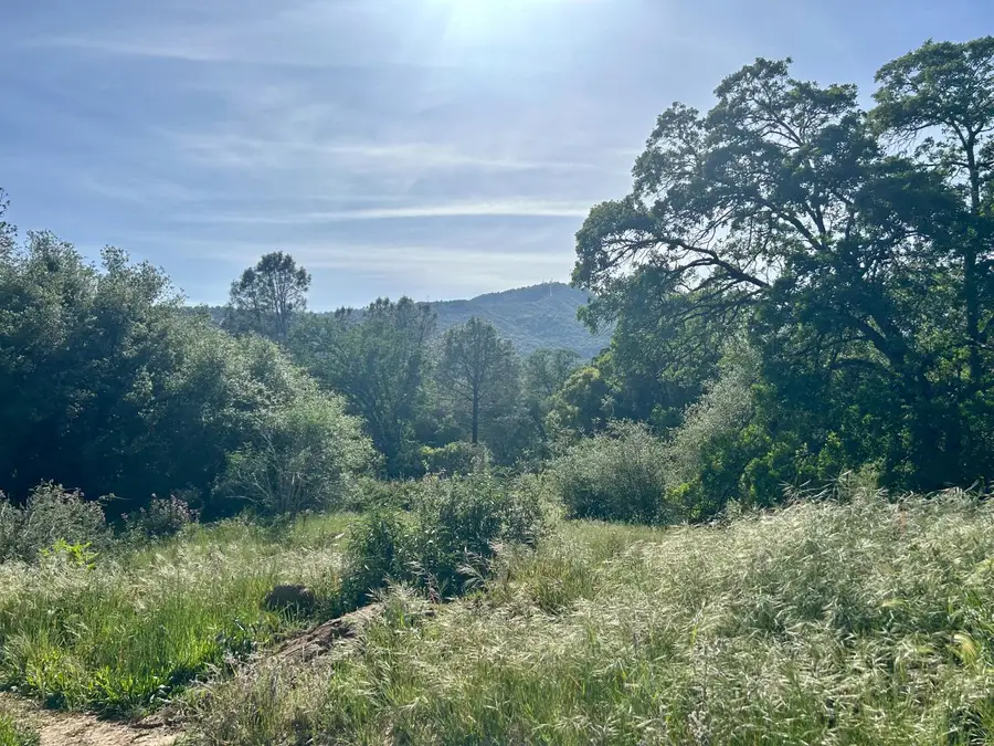 49992 Road 426, Oakhurst, CA 93644 - #3