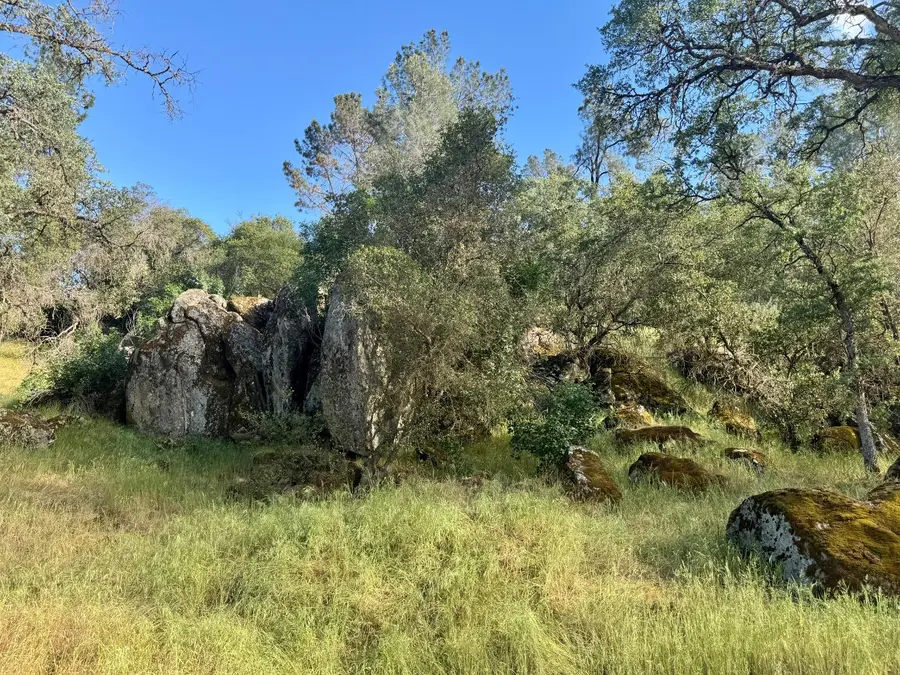 1 Road 400, Coarsegold, CA 93614 - #3