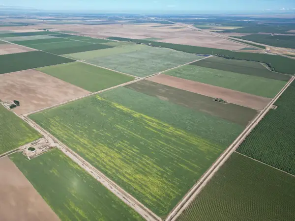 8841 Cross Road, Chowchilla, CA 93610