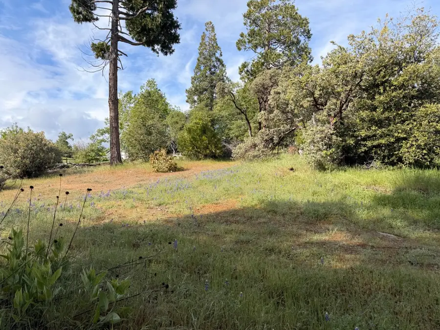29 Manzanita Drive, Oakhurst, CA 93644 - #2
