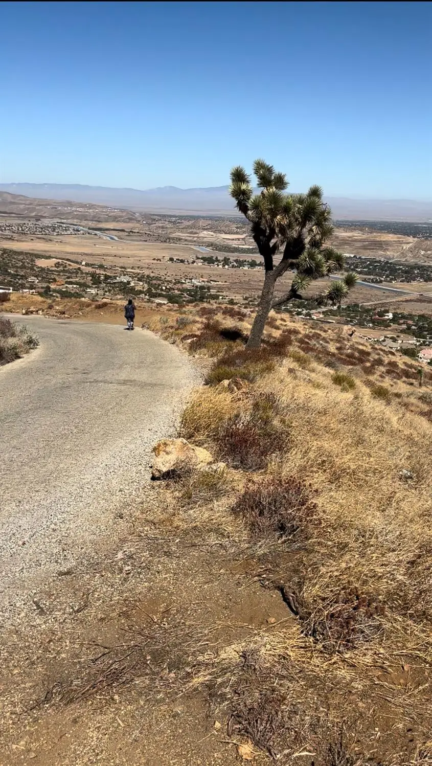 305401 Na, South Antelope Valley, CA 93511 - #2