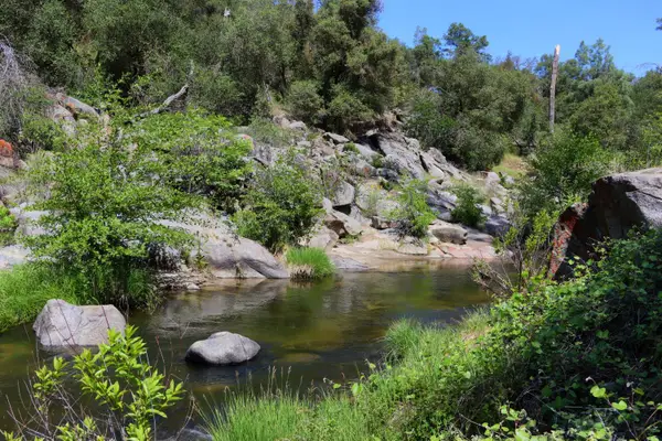 80 Polk Ranch Road, Coarsegold, CA 93614