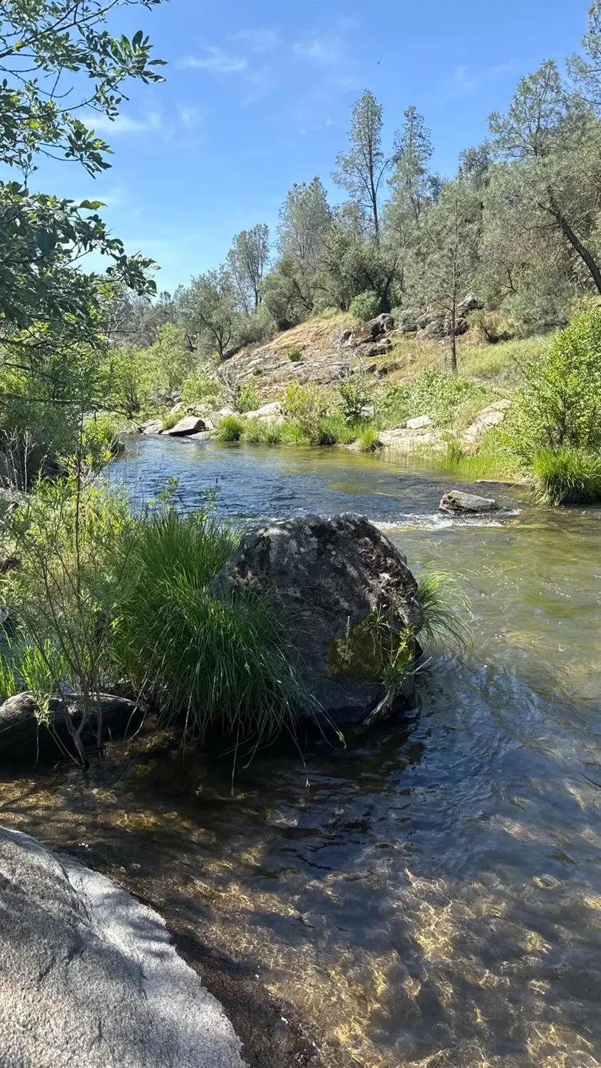 80 Polk Ranch Road, Coarsegold, CA 93614 - #2