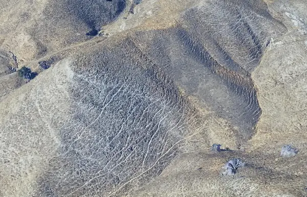 9 Warthan Canyon Rd, Coalinga, CA 93210