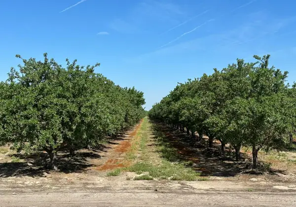 11841 S Hughes, Caruthers, CA 93609