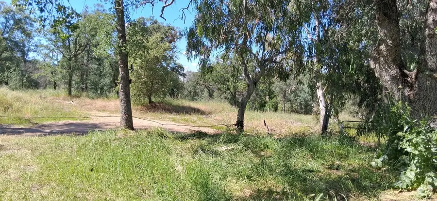 35778 Wells Road, Coarsegold, CA 93614 - #3